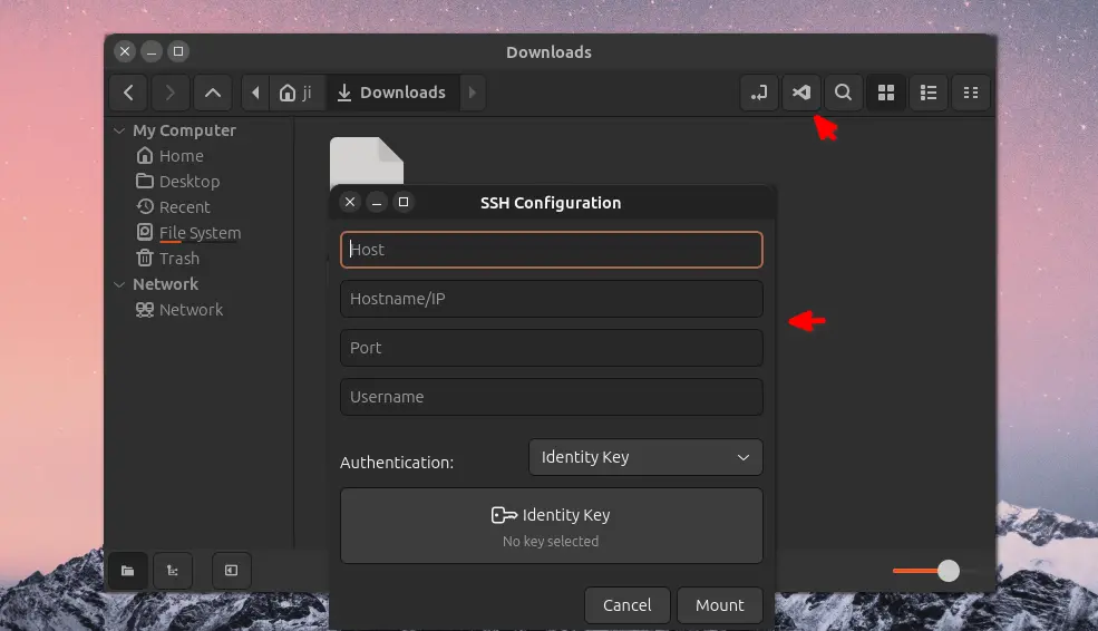 增强的文件管理器，集成了“在编辑器中打开”和通过 SSH 发送/接收文件的功能